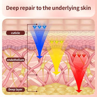 Seven Color LED Face Mask
