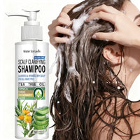 Dry Scalp Shampoo Sulfate Free 1+1 Pack 100g Tea Tree Oil with Collagen Hyaluronic Acid Vitamin C Niacinamide Moisturizing Cheap