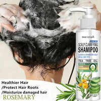 Dry Scalp Shampoo Sulfate Free 1+1 Pack 100g Tea Tree Oil with Collagen Hyaluronic Acid Vitamin C Niacinamide Moisturizing Cheap